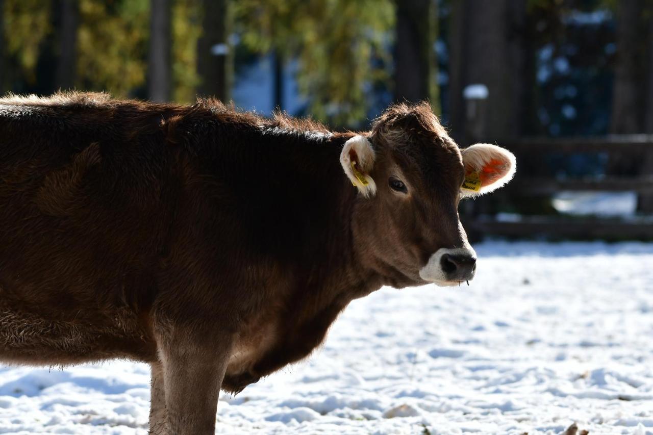 Unteradamerhof Sexten Buitenkant foto
